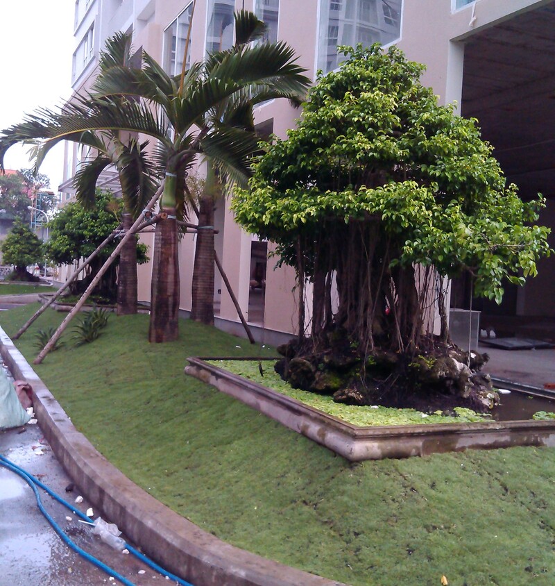 cảnh quan chung cư