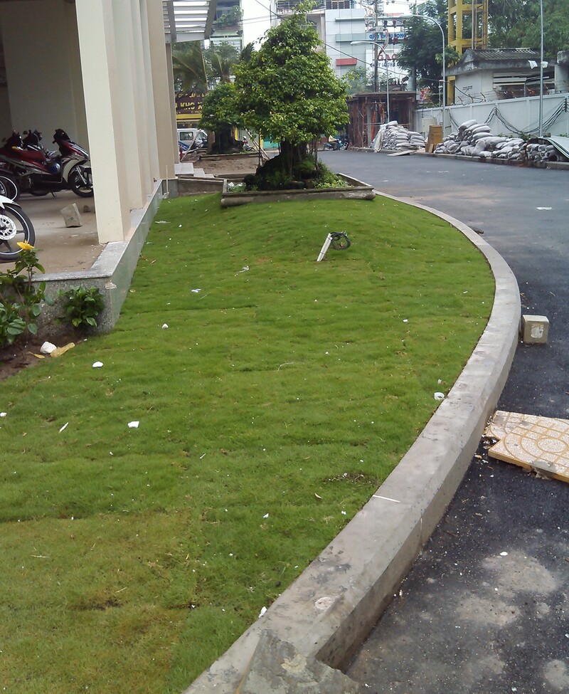 cảnh quan chung cư