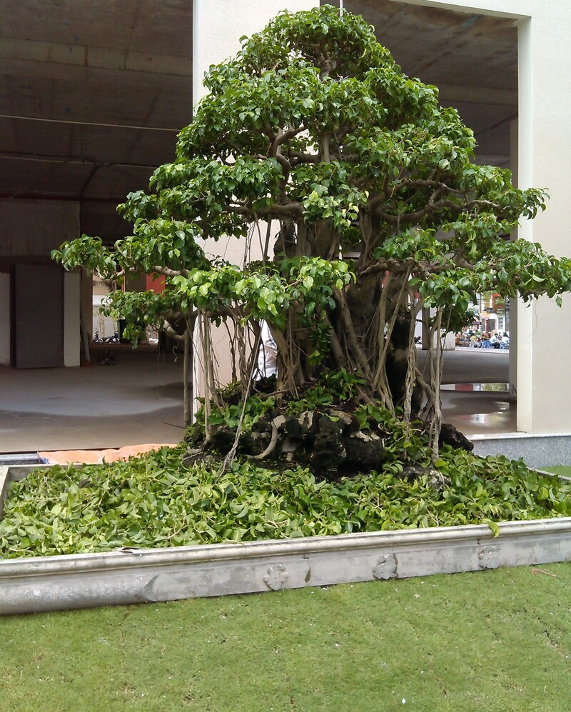 cảnh quan chung cư