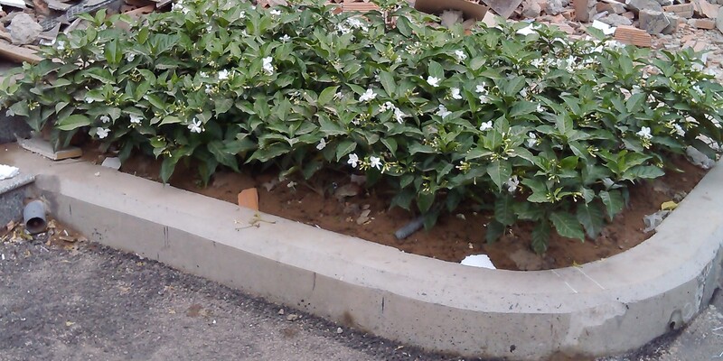 cảnh quan chung cư