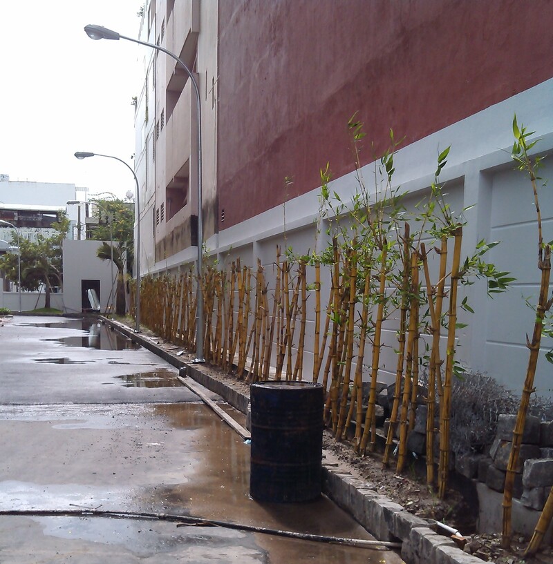 cảnh quan chung cư