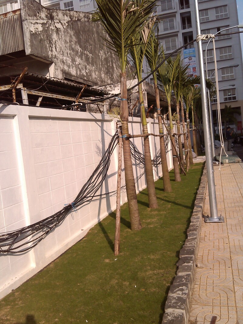 cảnh quan chung cư