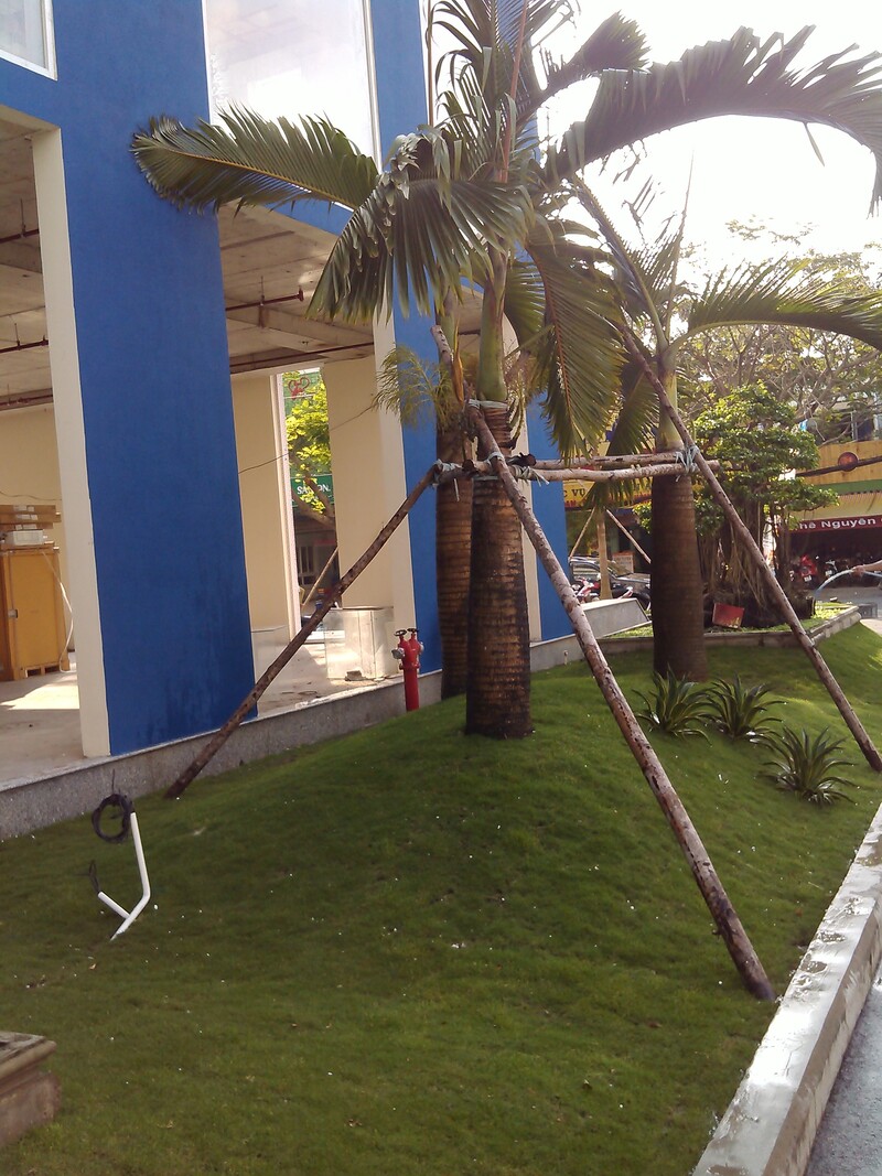 cảnh quan chung cư