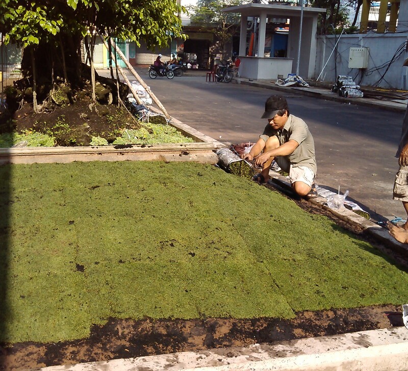 cảnh quan chung cư