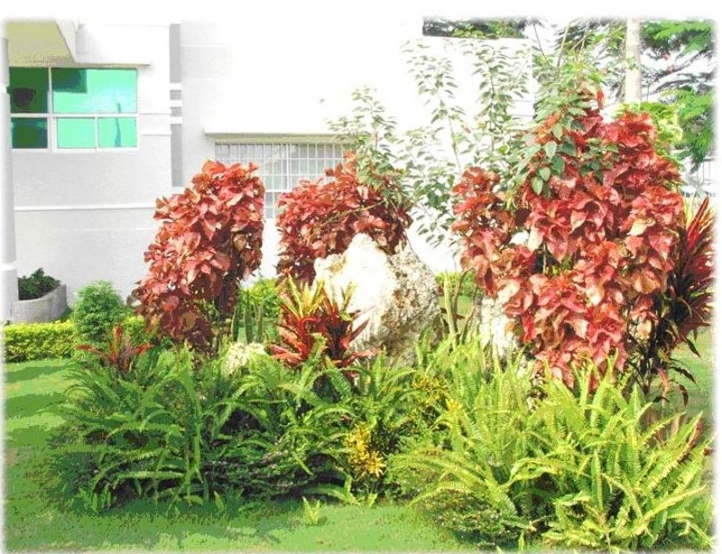 thi công cảnh quan