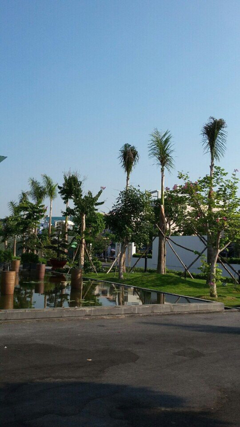 dự án thi công cảnh quan