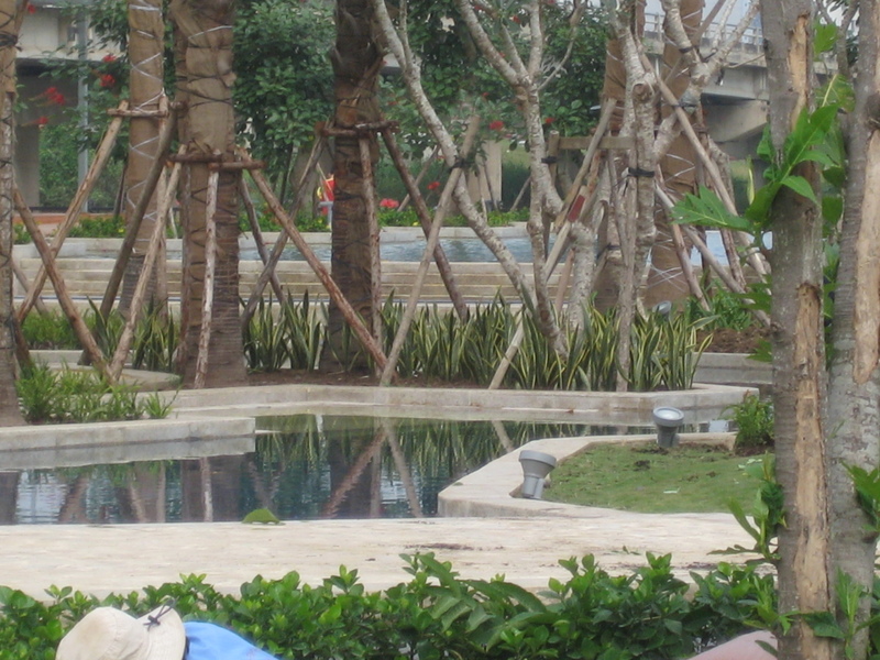 thi công cảnh quan biệt thự