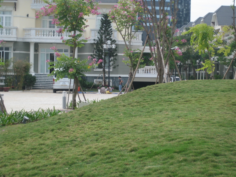 thi công cảnh quan biệt thự