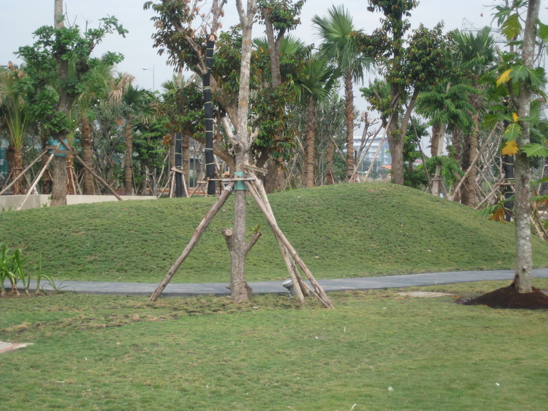 thi công cảnh quan biệt thự