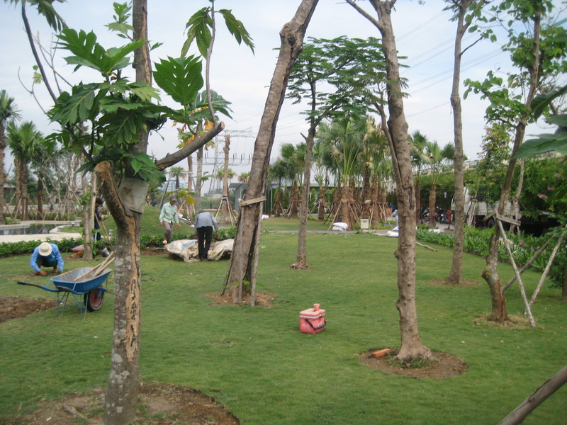 thi công cảnh quan biệt thự