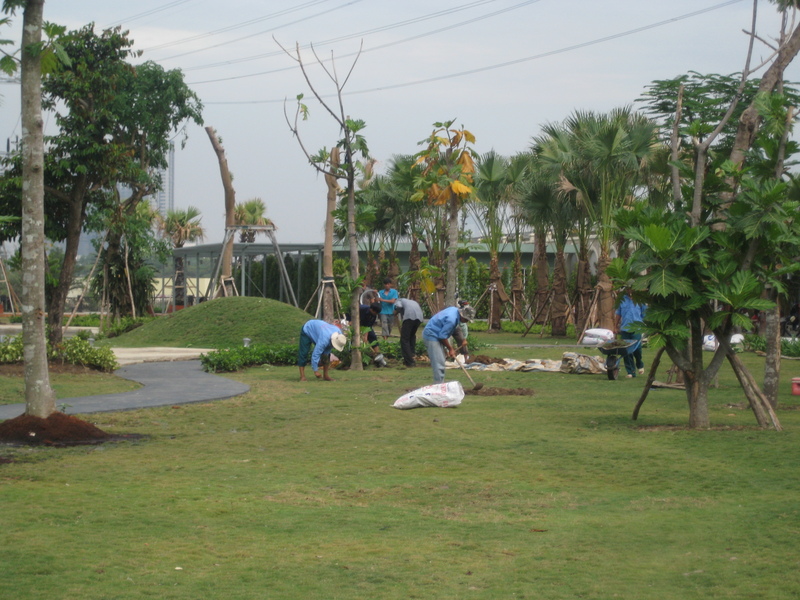 thi công cảnh quan biệt thự