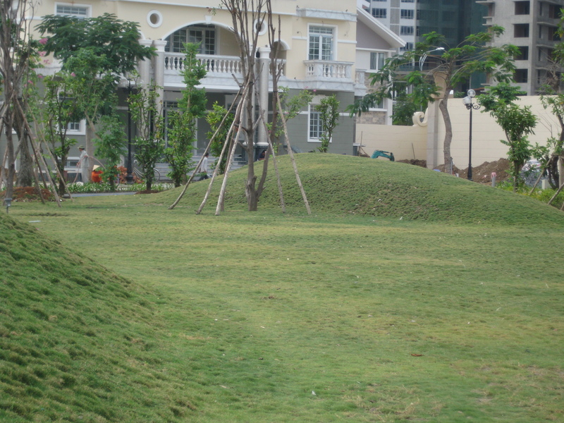 thi công cảnh quan biệt thự