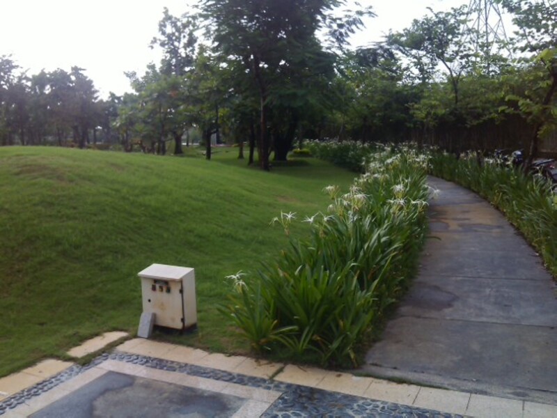 thi công cảnh quan biệt thự