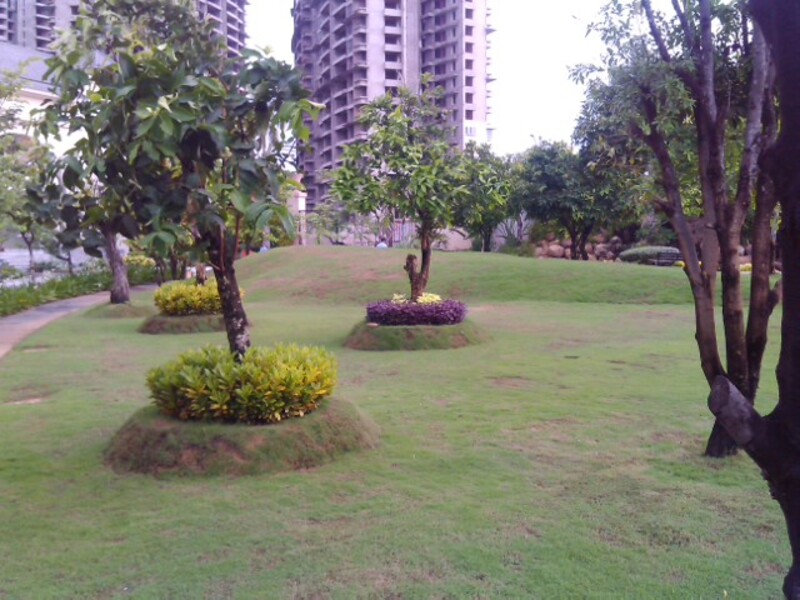 thi công cảnh quan biệt thự