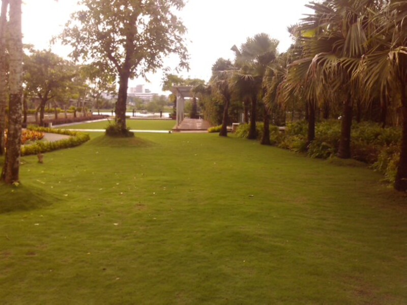 thi công cảnh quan biệt thự