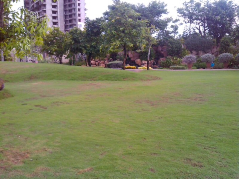 thi công cảnh quan biệt thự