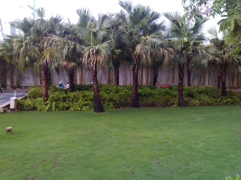 thi công cảnh quan biệt thự