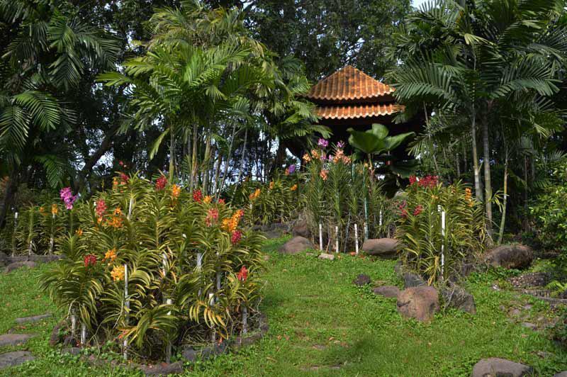 bảo dưỡng cảnh quan