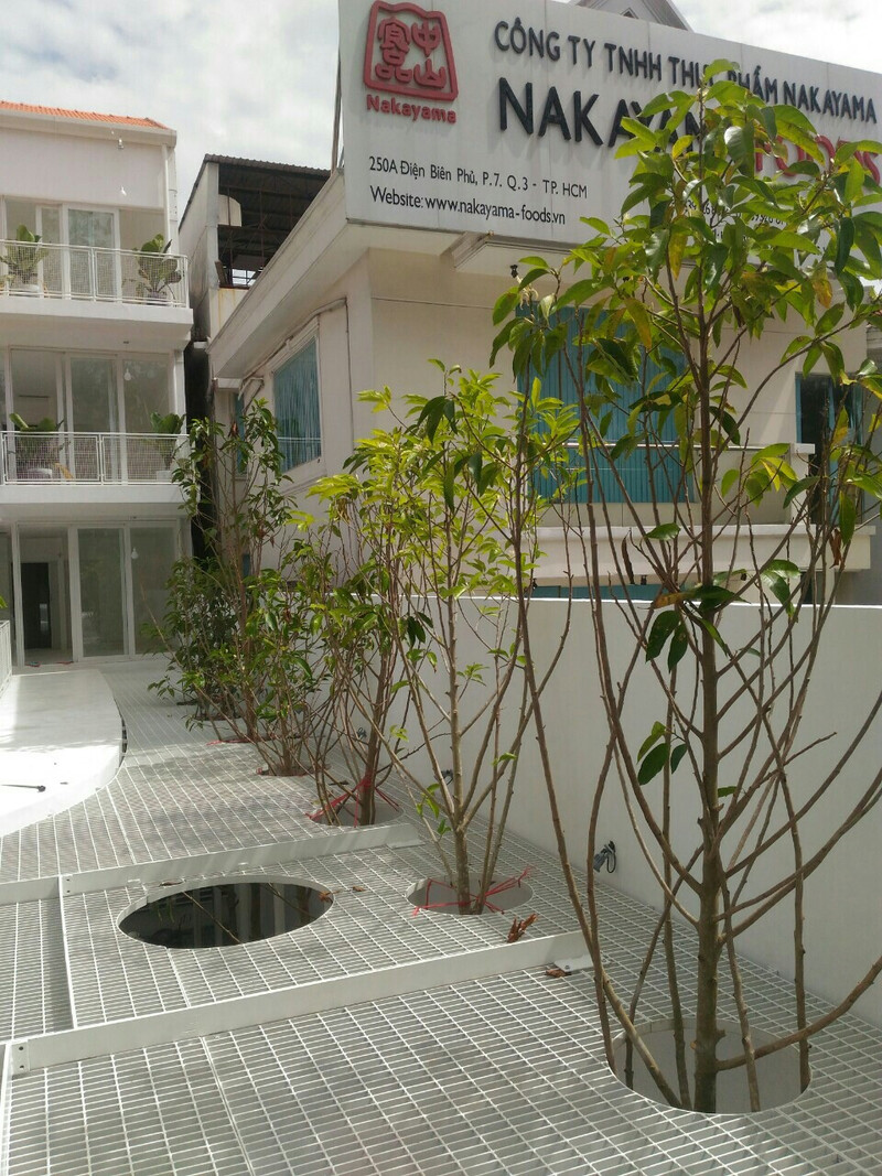 thi công cảnh quan nhà phố