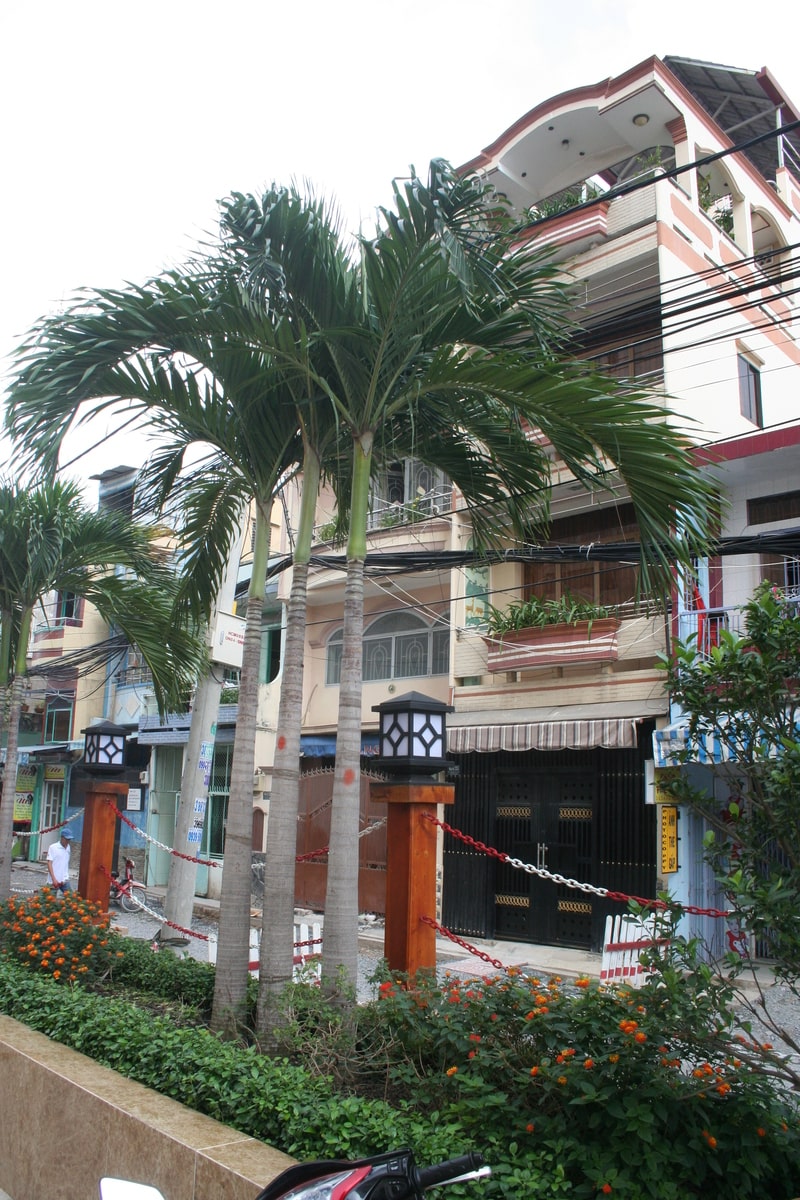 thi công cảnh quan chung cư