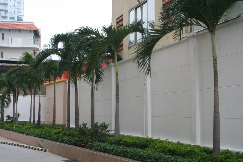 thi công cảnh quan chung cư