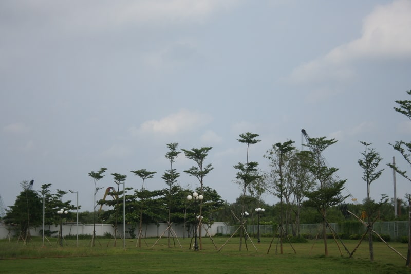 thi công cảnh quan chung cư