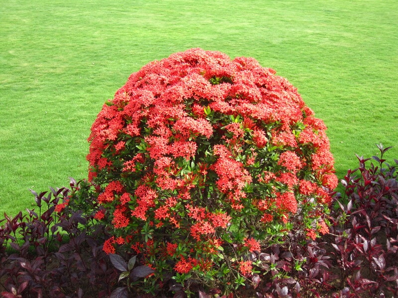 thi công cảnh quan khu giải trí