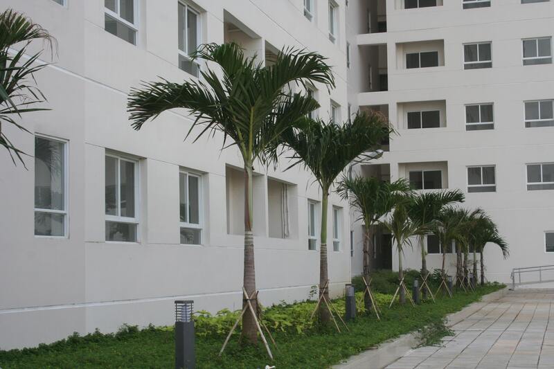 thi công cảnh quan chung cư