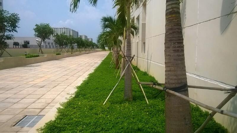 thi công cảnh quan chung cư