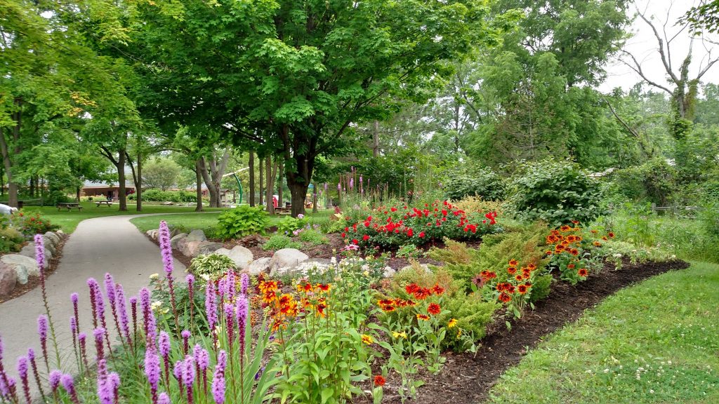 cảnh quan công viên